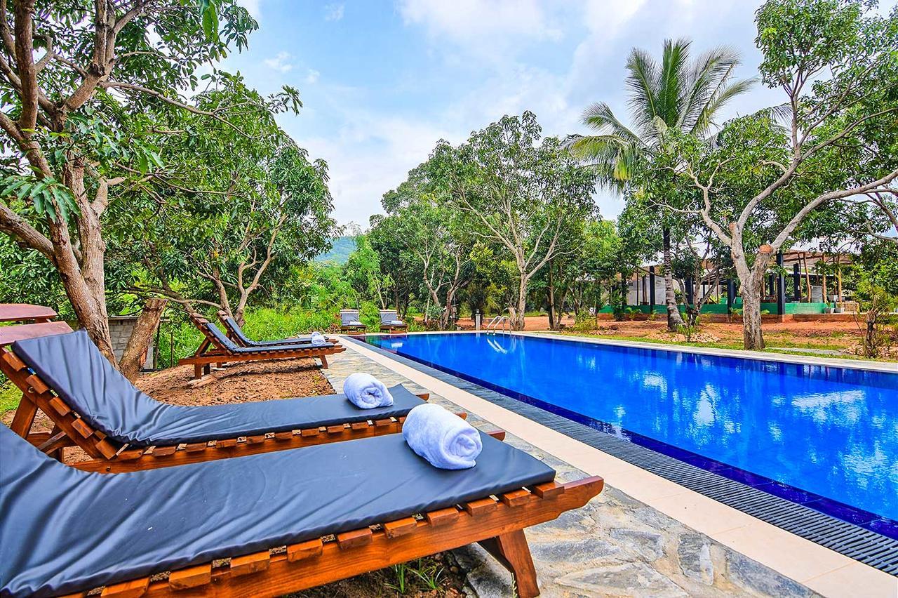 Dambulla Hills Resort Zewnętrze zdjęcie