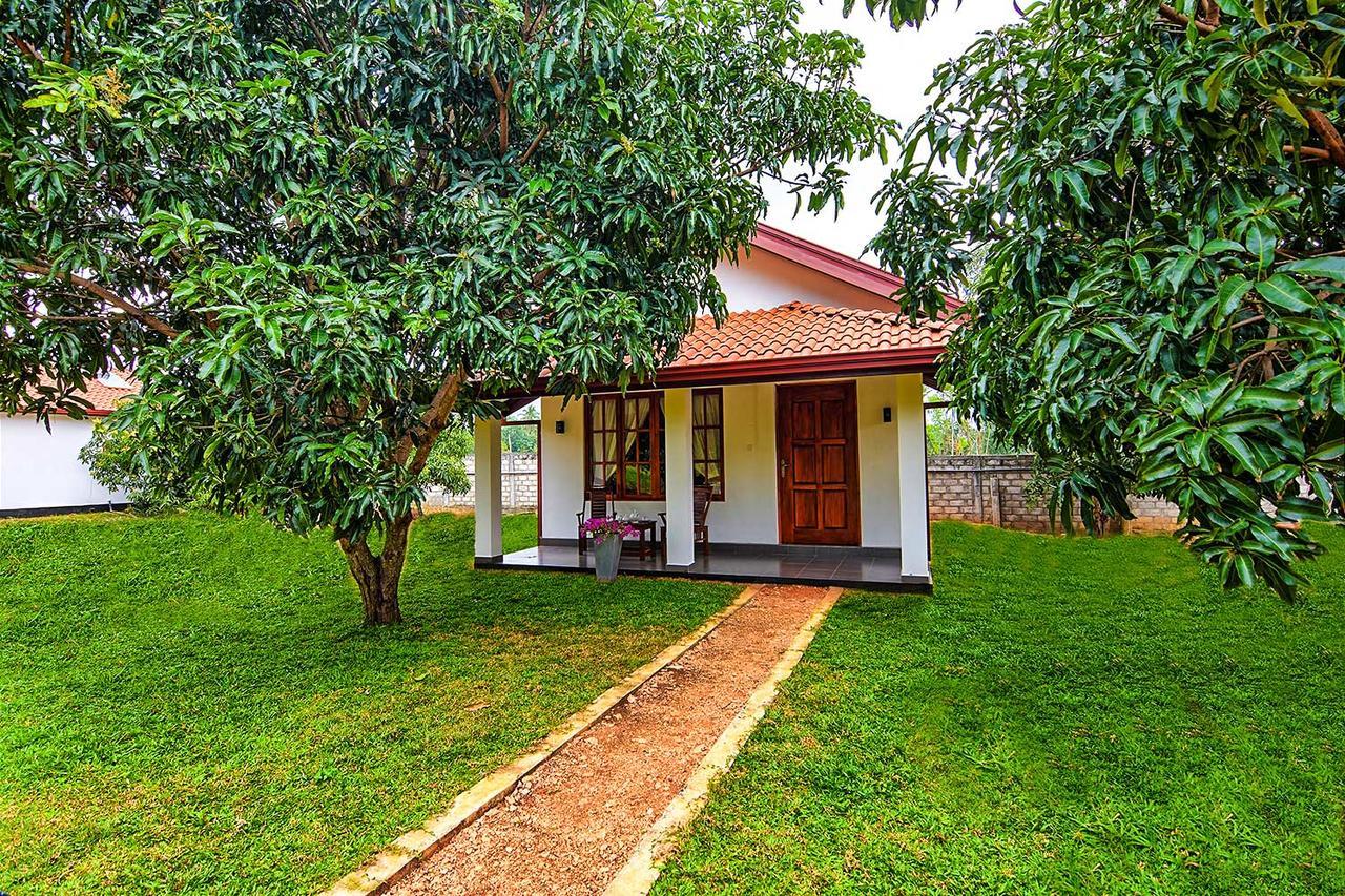 Dambulla Hills Resort Zewnętrze zdjęcie