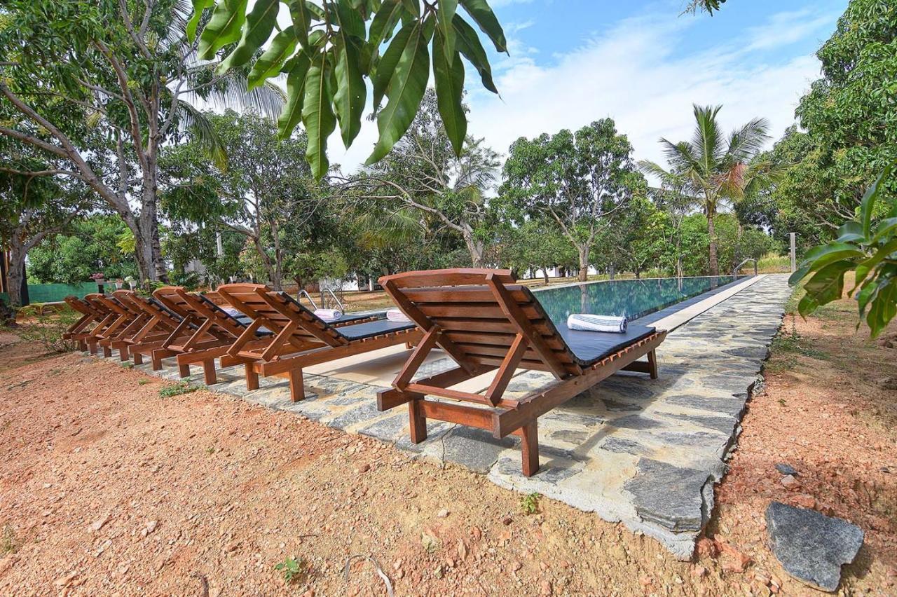 Dambulla Hills Resort Zewnętrze zdjęcie