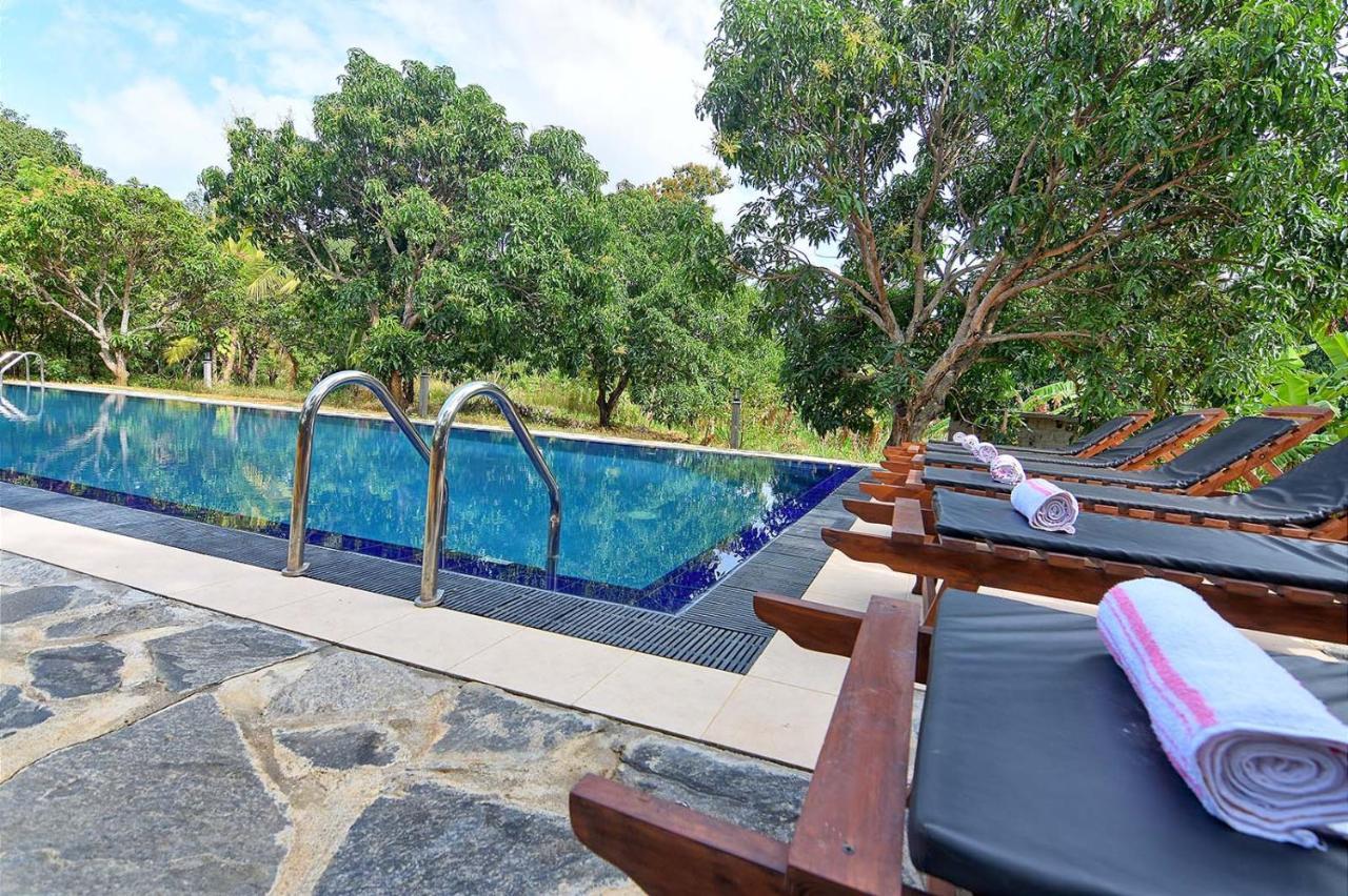 Dambulla Hills Resort Zewnętrze zdjęcie