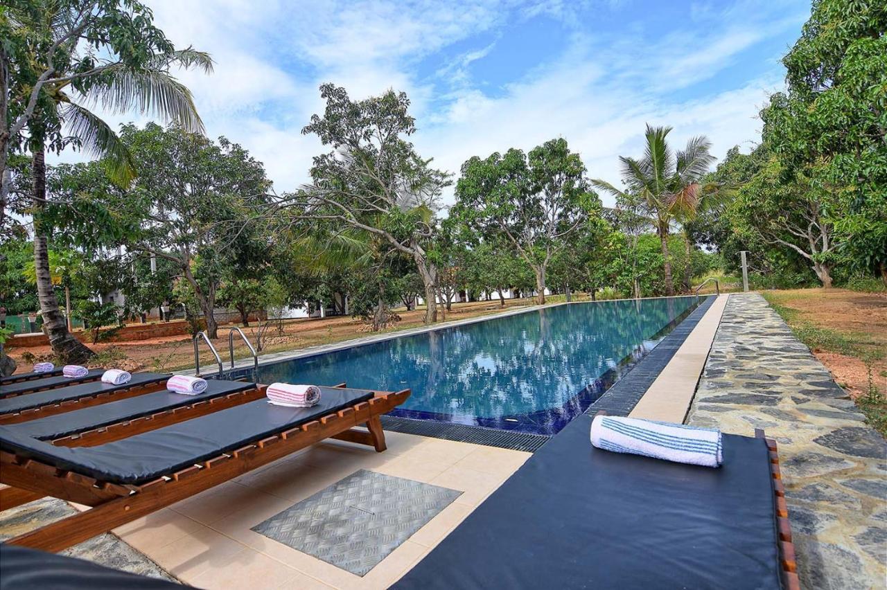 Dambulla Hills Resort Zewnętrze zdjęcie